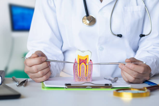 Best Chipped Tooth Repair Near Me  in Stockton, KS